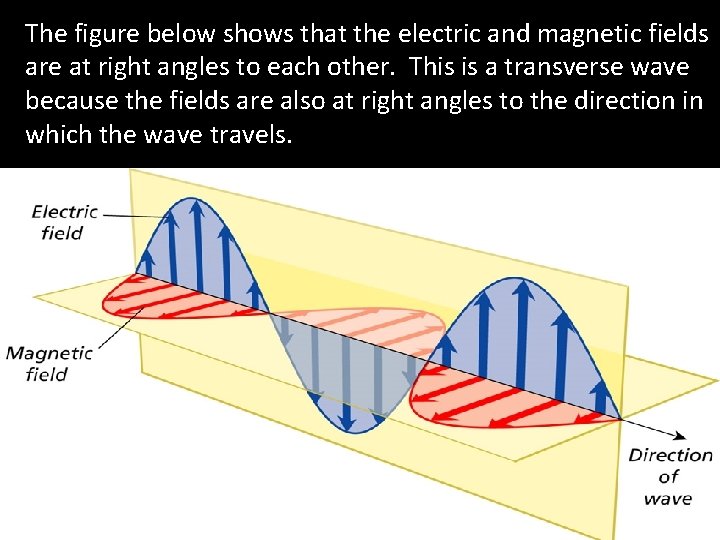 The figure below shows that the electric and magnetic fields are at right angles The figure below shows that the electric and magnetic fields are at right angles