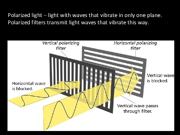 Polarized light – light with waves that vibrate in only one plane. Polarized filters Polarized light – light with waves that vibrate in only one plane. Polarized filters