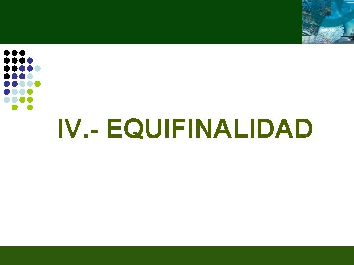 IV. - EQUIFINALIDAD 