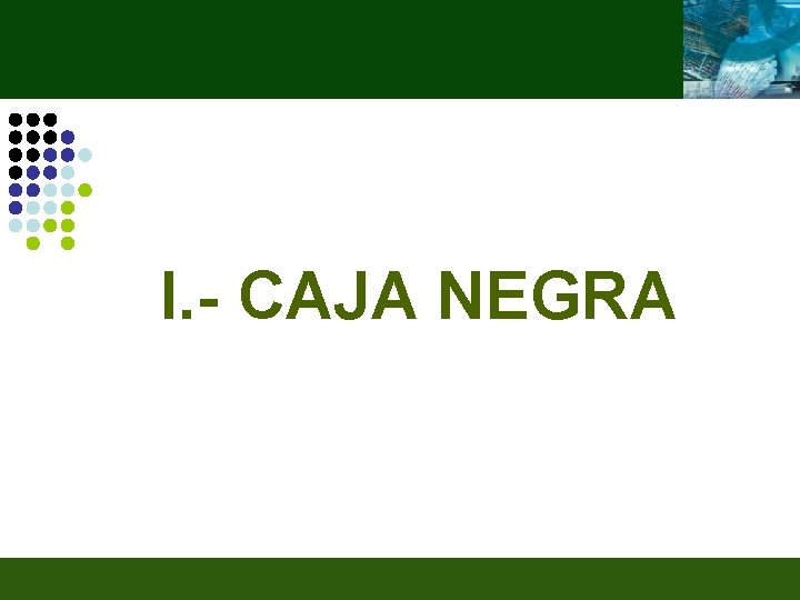 I. - CAJA NEGRA 