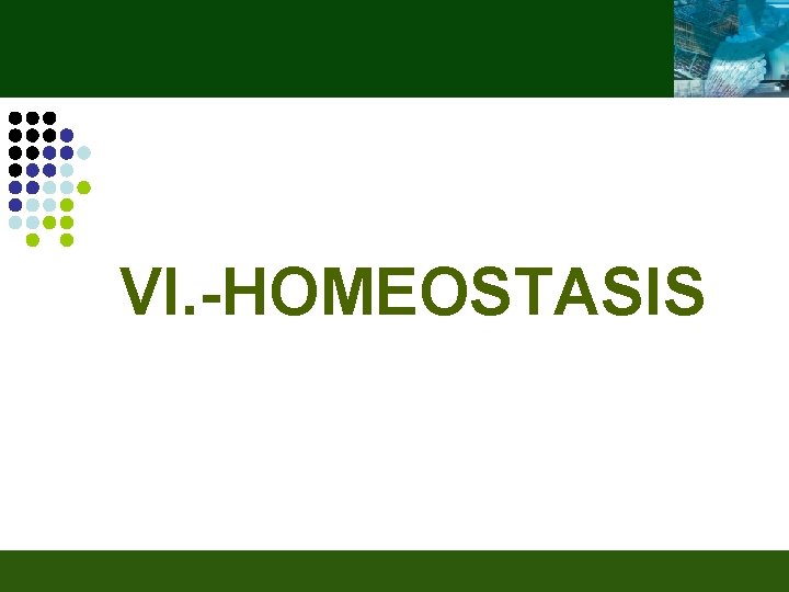 VI. -HOMEOSTASIS 