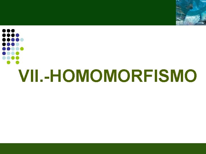 VII. -HOMOMORFISMO 