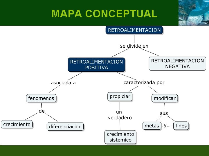 MAPA CONCEPTUAL 