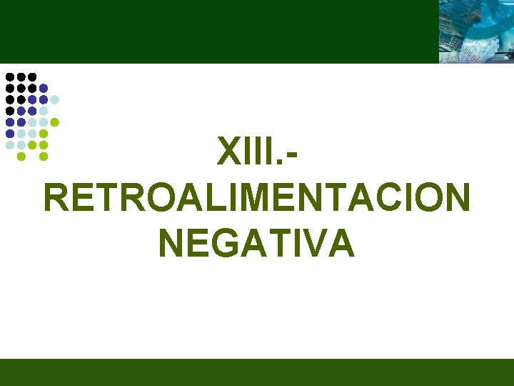 XIII. RETROALIMENTACION NEGATIVA 