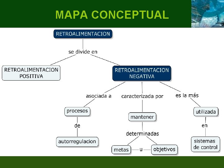 MAPA CONCEPTUAL 