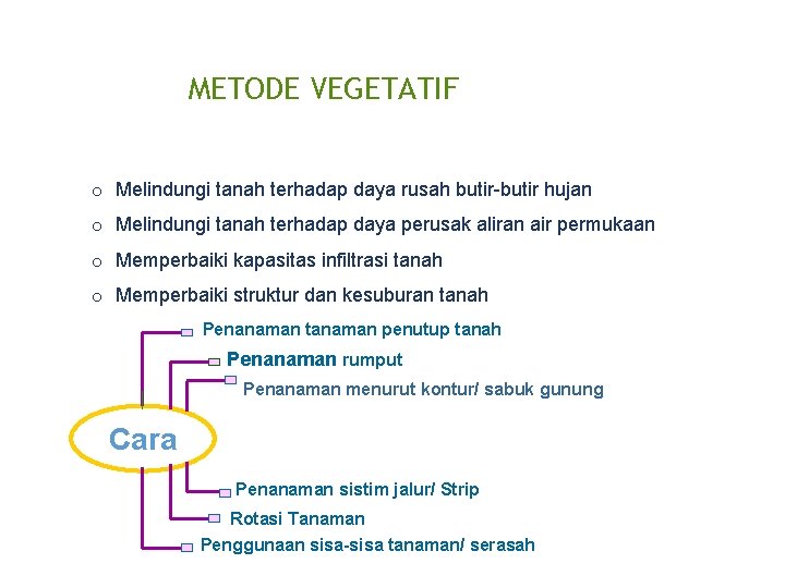 METODE VEGETATIF o Melindungi tanah terhadap daya rusah butir-butir hujan o Melindungi tanah terhadap