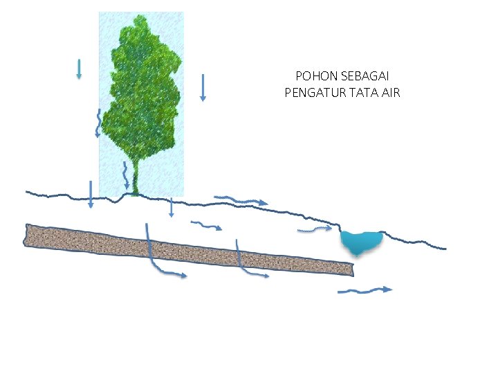 POHON SEBAGAI PENGATUR TATA AIR 