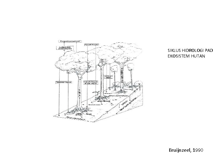 SIKLUS HIDROLOGI PAD EKOSISTEM HUTAN Bruijnzeel, 1990 