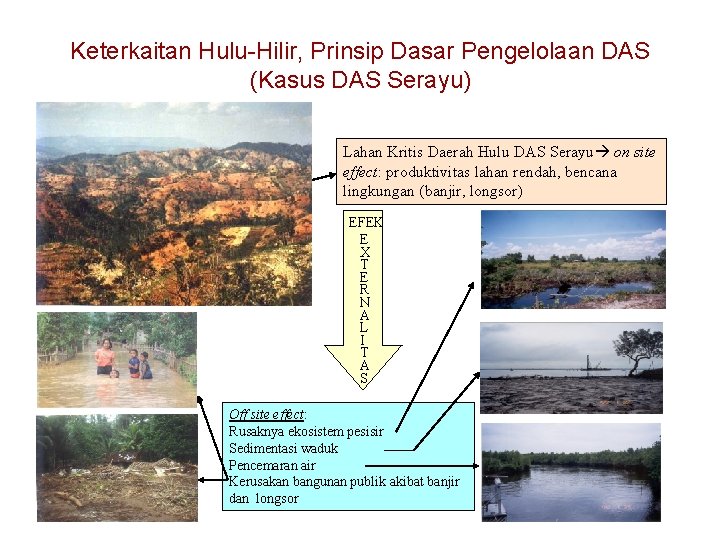 Keterkaitan Hulu-Hilir, Prinsip Dasar Pengelolaan DAS (Kasus DAS Serayu) Lahan Kritis Daerah Hulu DAS