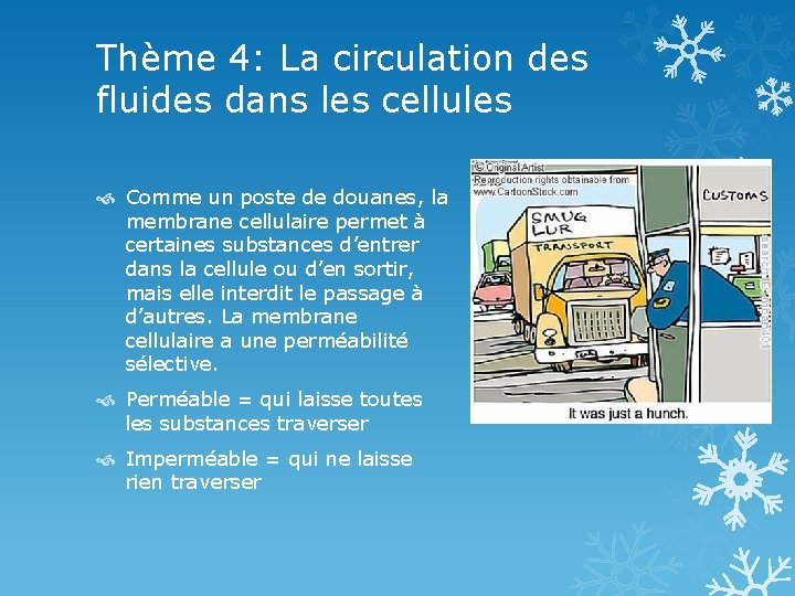 Thème 4: La circulation des fluides dans les cellules Comme un poste de douanes,