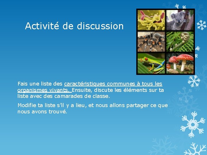 Activité de discussion Fais une liste des caractéristiques communes à tous les organismes vivants.