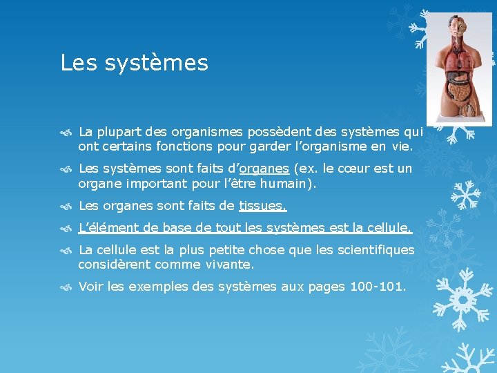 Les systèmes La plupart des organismes possèdent des systèmes qui ont certains fonctions pour