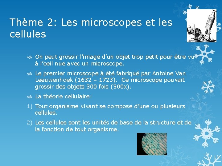 Thème 2: Les microscopes et les cellules On peut grossir l’image d’un objet trop