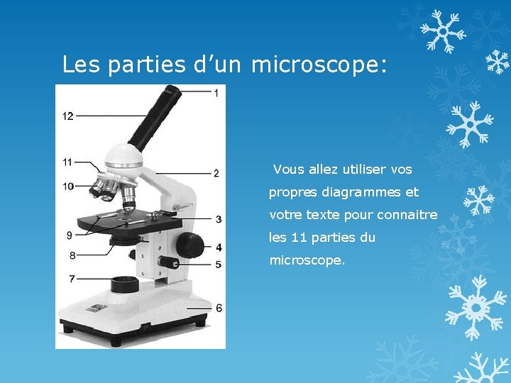 Les parties d’un microscope: Vous allez utiliser vos propres diagrammes et votre texte pour