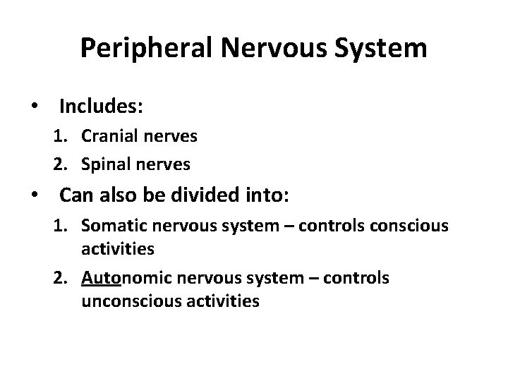 Peripheral Nervous System • Includes: 1. Cranial nerves 2. Spinal nerves • Can also