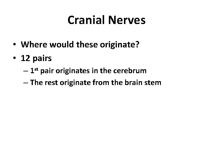 Cranial Nerves • Where would these originate? • 12 pairs – 1 st pair