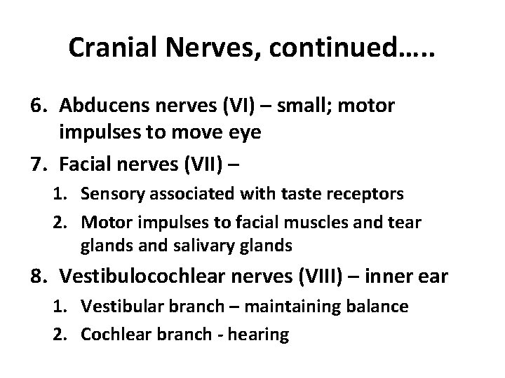 Cranial Nerves, continued…. . 6. Abducens nerves (VI) – small; motor impulses to move