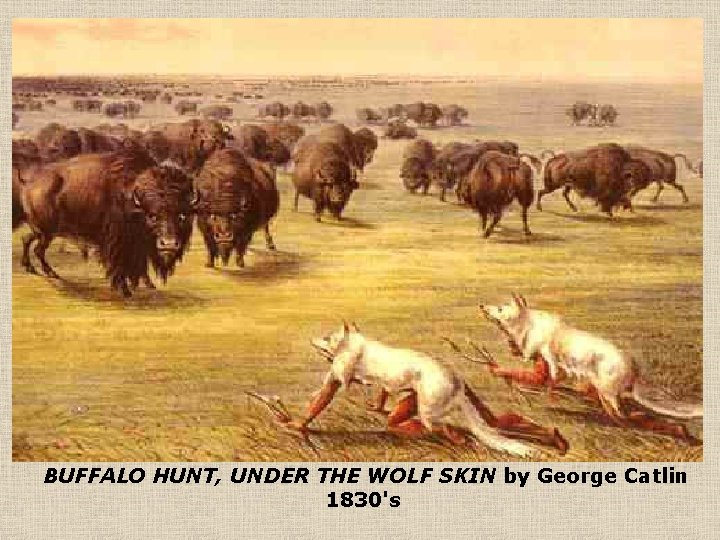 BUFFALO HUNT, UNDER THE WOLF SKIN - by George Catlin 1830's 