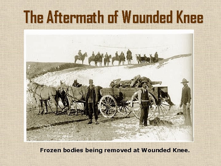 The Aftermath of Wounded Knee Frozen bodies being removed at Wounded Knee. 