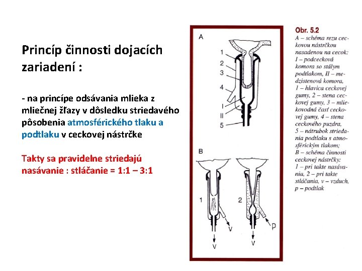 Princíp činnosti dojacích zariadení : - na princípe odsávania mlieka z mliečnej žľazy v