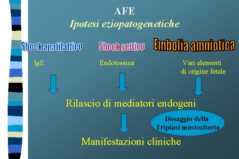 AFE Ipotesi eziopatogenetiche Ig. E Endotossina Vari elementi di origine fetale Rilascio di mediatori
