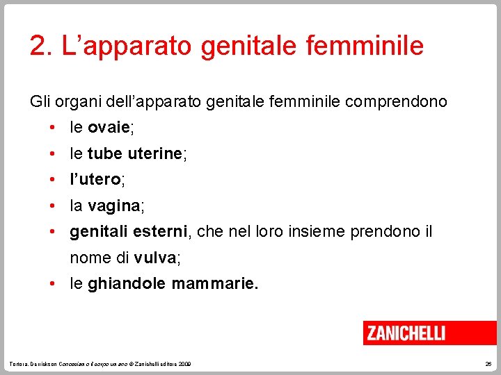 2. L’apparato genitale femminile Gli organi dell’apparato genitale femminile comprendono • le ovaie; •