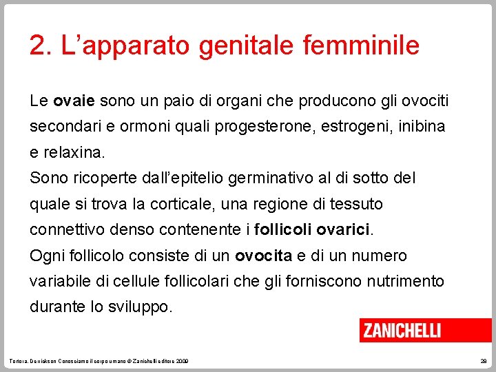2. L’apparato genitale femminile Le ovaie sono un paio di organi che producono gli