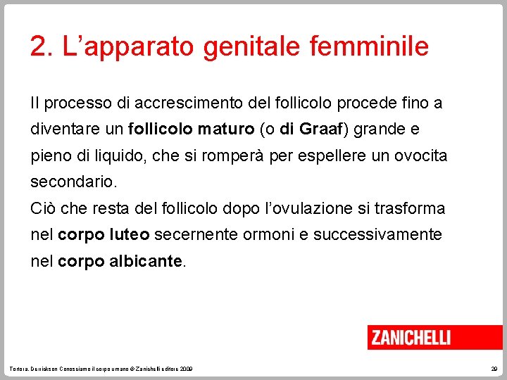 2. L’apparato genitale femminile Il processo di accrescimento del follicolo procede fino a diventare