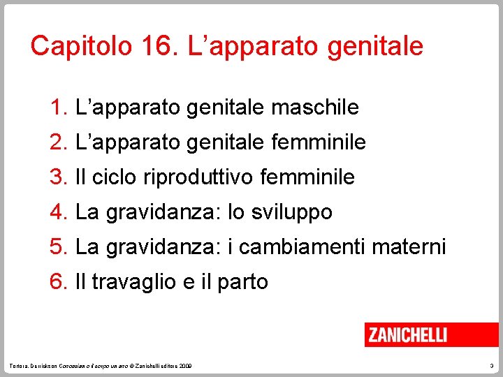 Capitolo 16. L’apparato genitale 1. L’apparato genitale maschile 2. L’apparato genitale femminile 3. Il