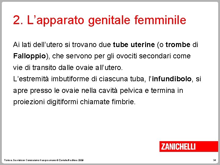 2. L’apparato genitale femminile Ai lati dell’utero si trovano due tube uterine (o trombe