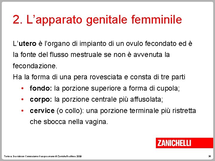 2. L’apparato genitale femminile L’utero è l’organo di impianto di un ovulo fecondato ed