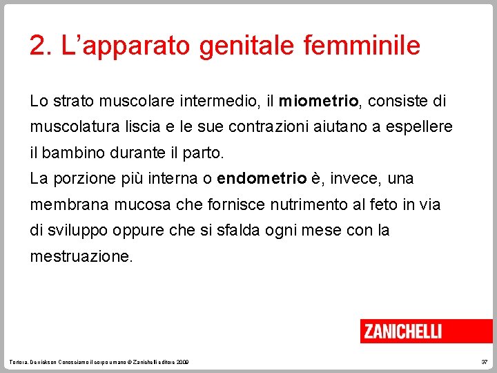 2. L’apparato genitale femminile Lo strato muscolare intermedio, il miometrio, consiste di muscolatura liscia