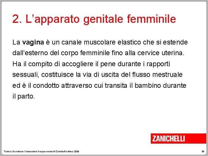 2. L’apparato genitale femminile La vagina è un canale muscolare elastico che si estende