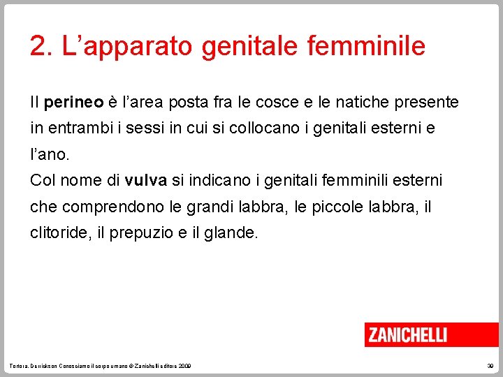 2. L’apparato genitale femminile Il perineo è l’area posta fra le cosce e le