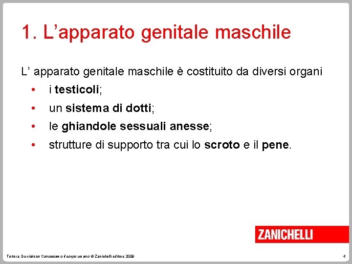 1. L’apparato genitale maschile L’ apparato genitale maschile è costituito da diversi organi •