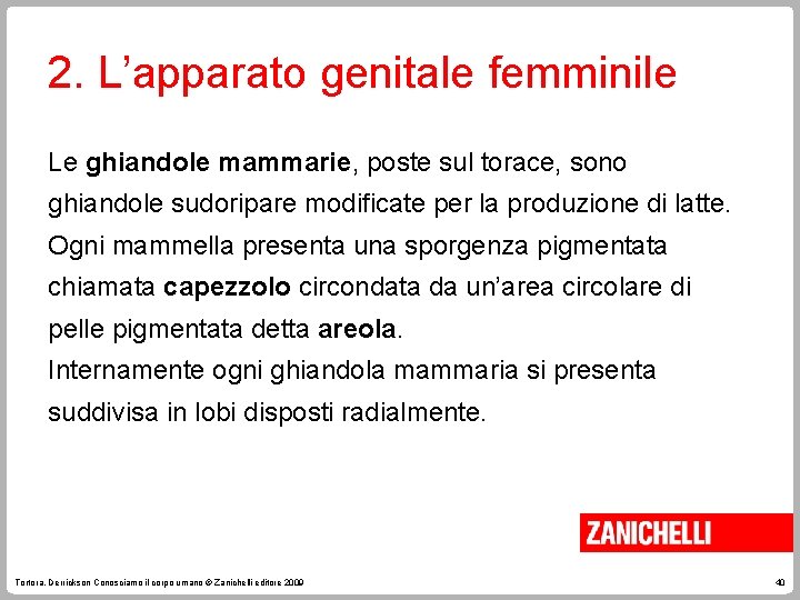 2. L’apparato genitale femminile Le ghiandole mammarie, poste sul torace, sono ghiandole sudoripare modificate