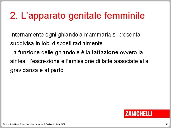 2. L’apparato genitale femminile Internamente ogni ghiandola mammaria si presenta suddivisa in lobi disposti