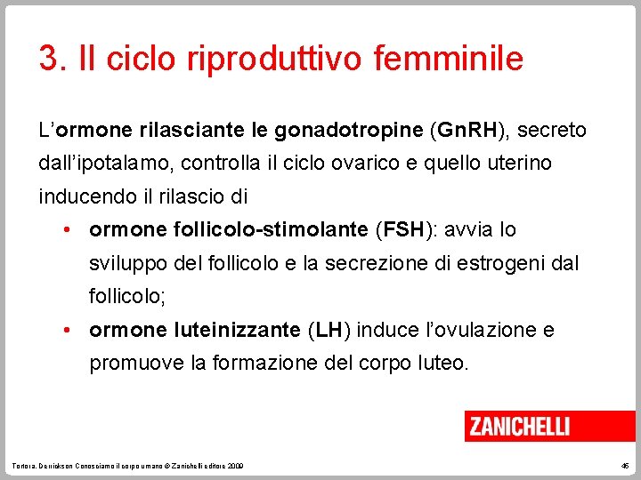 3. Il ciclo riproduttivo femminile L’ormone rilasciante le gonadotropine (Gn. RH), secreto dall’ipotalamo, controlla