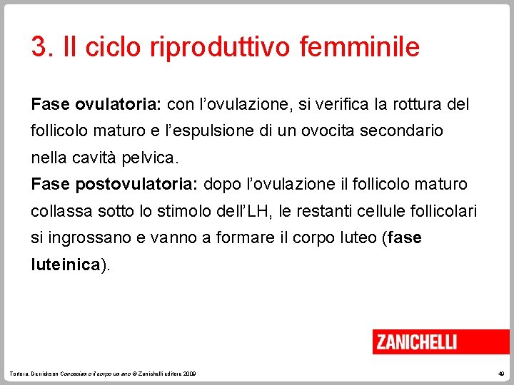 3. Il ciclo riproduttivo femminile Fase ovulatoria: con l’ovulazione, si verifica la rottura del