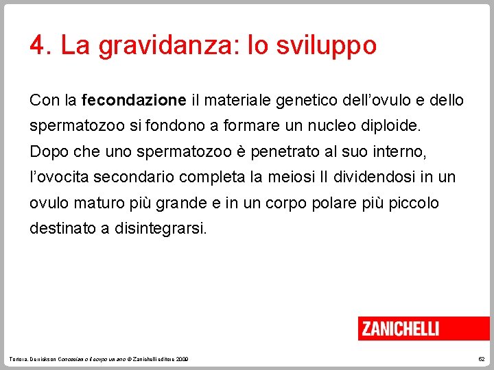 4. La gravidanza: lo sviluppo Con la fecondazione il materiale genetico dell’ovulo e dello