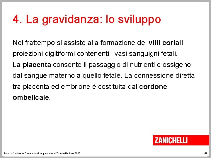 4. La gravidanza: lo sviluppo Nel frattempo si assiste alla formazione dei villi coriali,