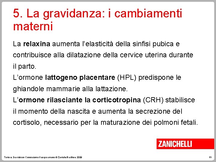 5. La gravidanza: i cambiamenti materni La relaxina aumenta l’elasticità della sinfisi pubica e