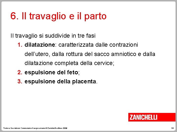 6. Il travaglio e il parto Il travaglio si suddivide in tre fasi 1.