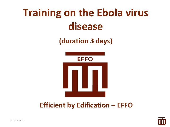 Training on the Ebola virus disease (duration 3 days) Efficient by Edification – EFFO