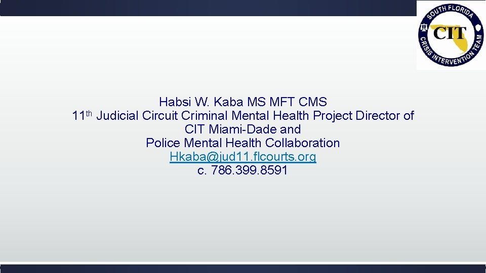 Habsi W. Kaba MS MFT CMS 11 th Judicial Circuit Criminal Mental Health Project