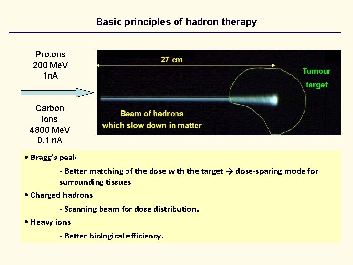 Basic principles of hadron therapy Protons 200 Me. V 1 n. A Carbon ions