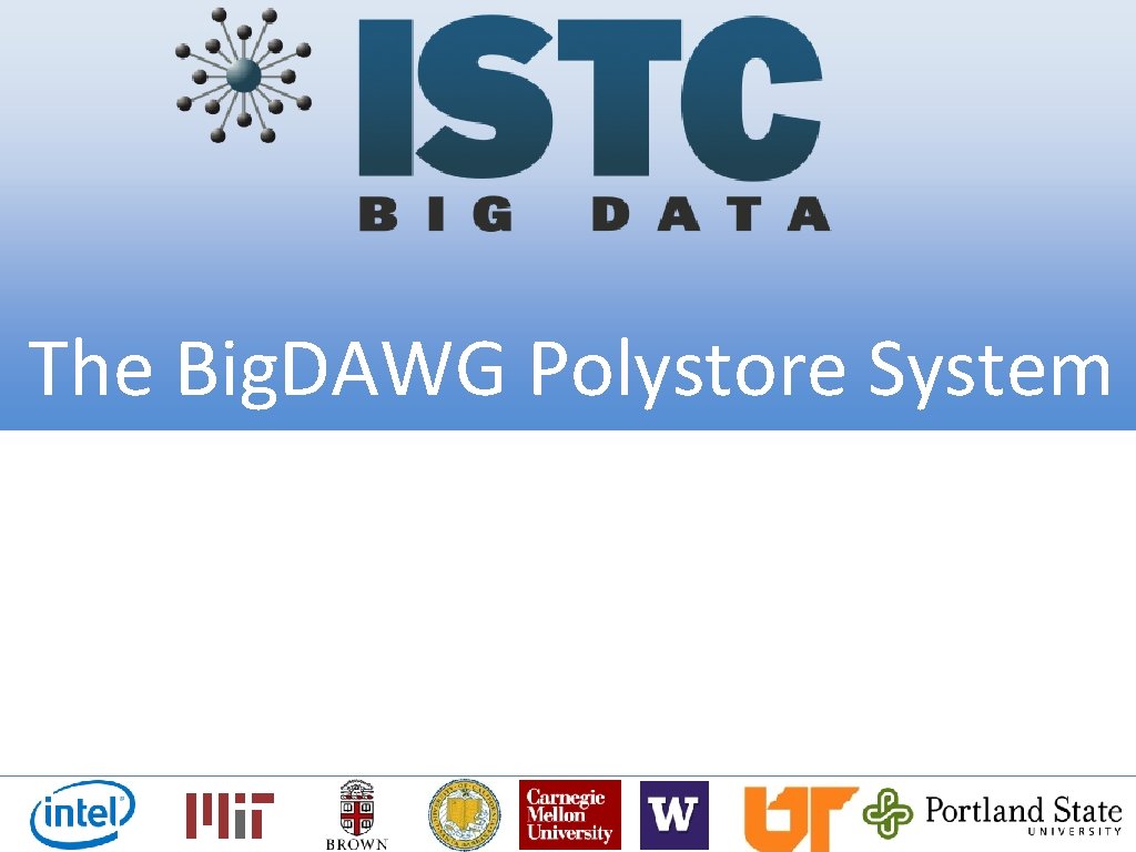 The Big. DAWG Polystore System 