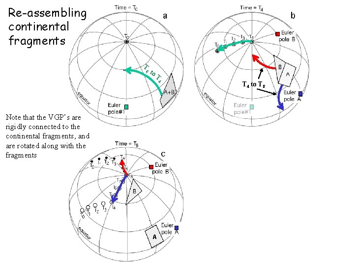Re-assembling continental fragments T 0 to T 4 Note that the VGP’s are rigidly Re-assembling continental fragments T 0 to T 4 Note that the VGP’s are rigidly
