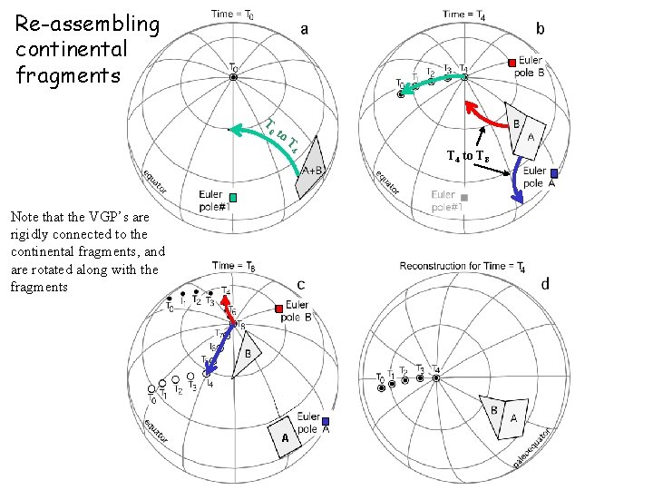 Re-assembling continental fragments T 0 to T 4 Note that the VGP’s are rigidly Re-assembling continental fragments T 0 to T 4 Note that the VGP’s are rigidly