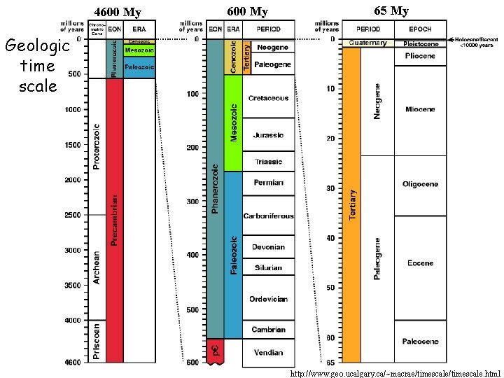 4600 My 65 My Geologic time scale http: //www. geo. ucalgary. ca/~macrae/timescale. html 4600 My 65 My Geologic time scale http: //www. geo. ucalgary. ca/~macrae/timescale. html